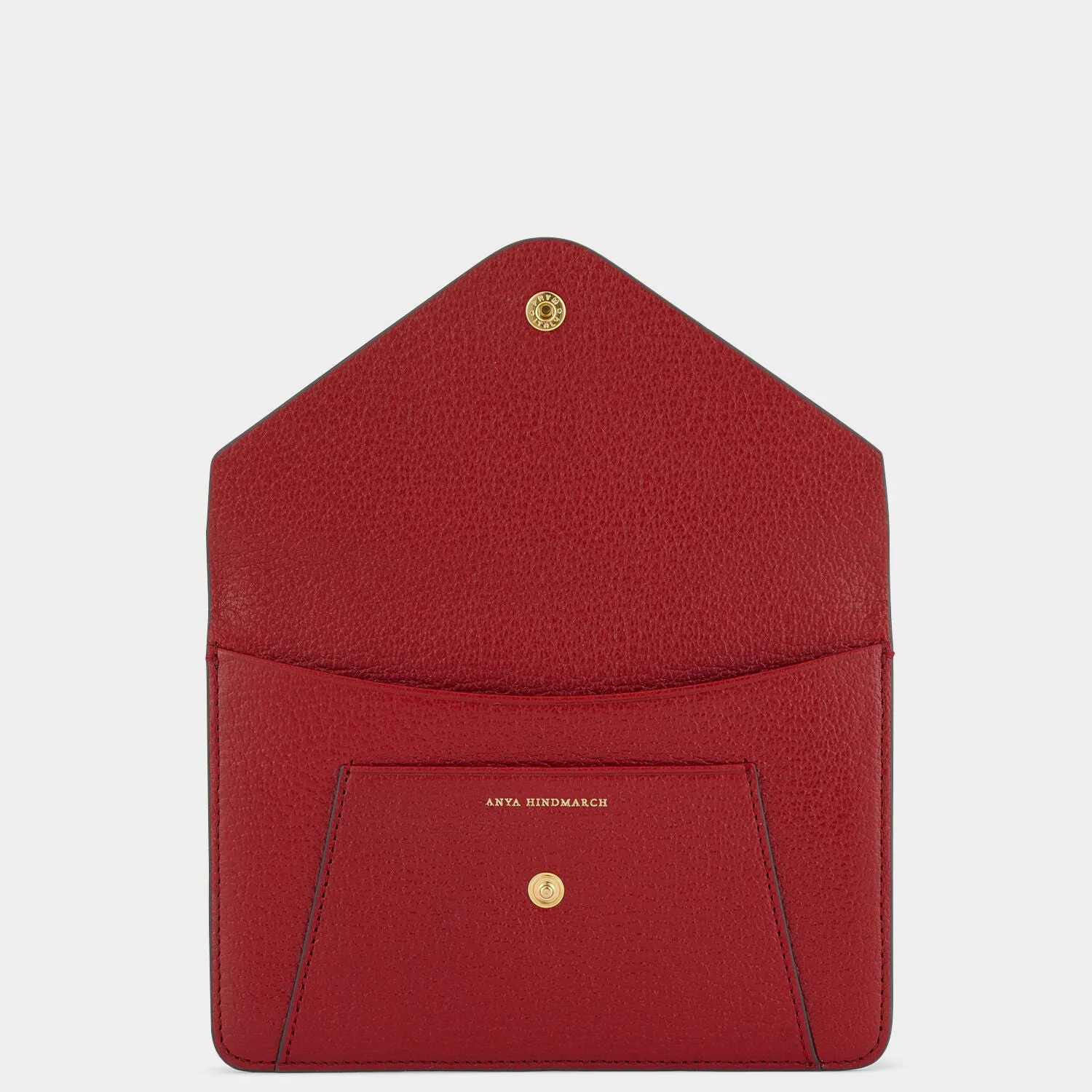 Envelope Passport Holder