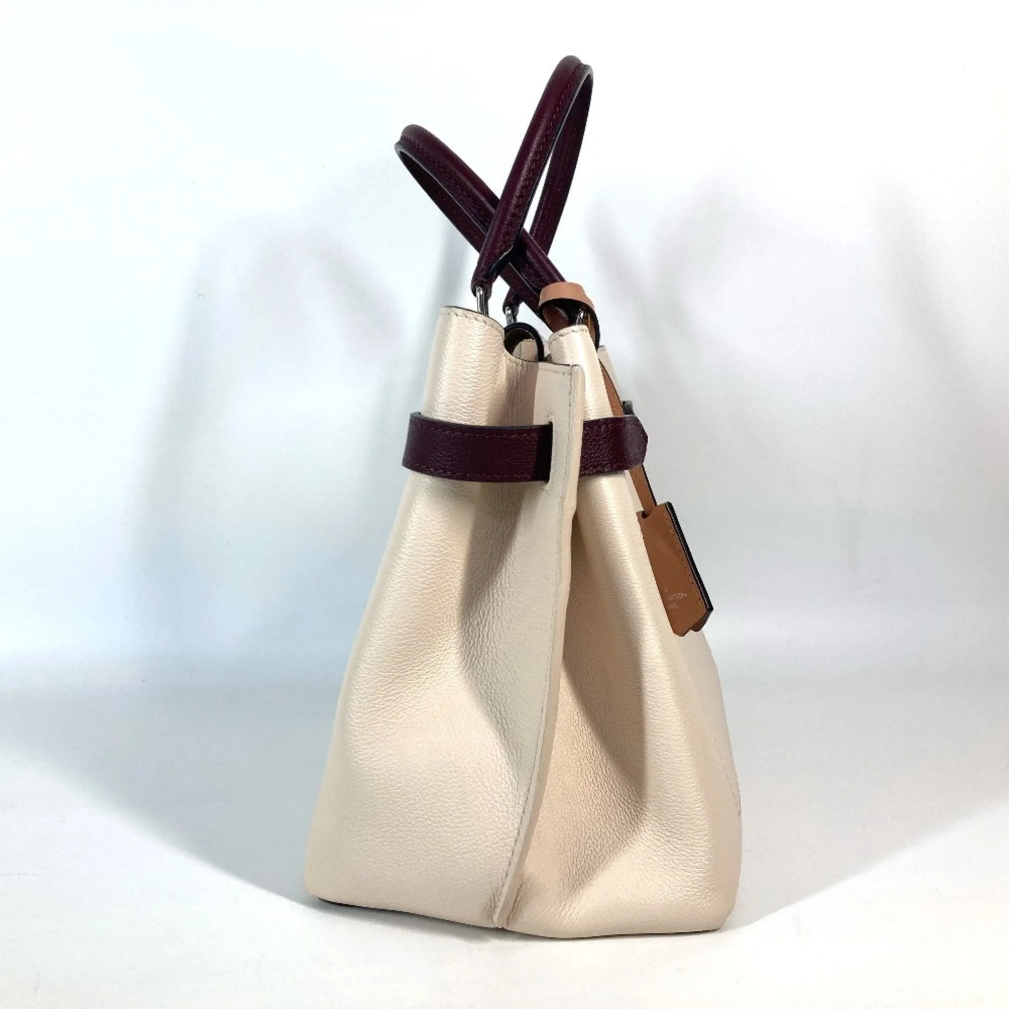 Louis Vuitton  Color Leather Handbag Tote Bag (Pre-Owned)