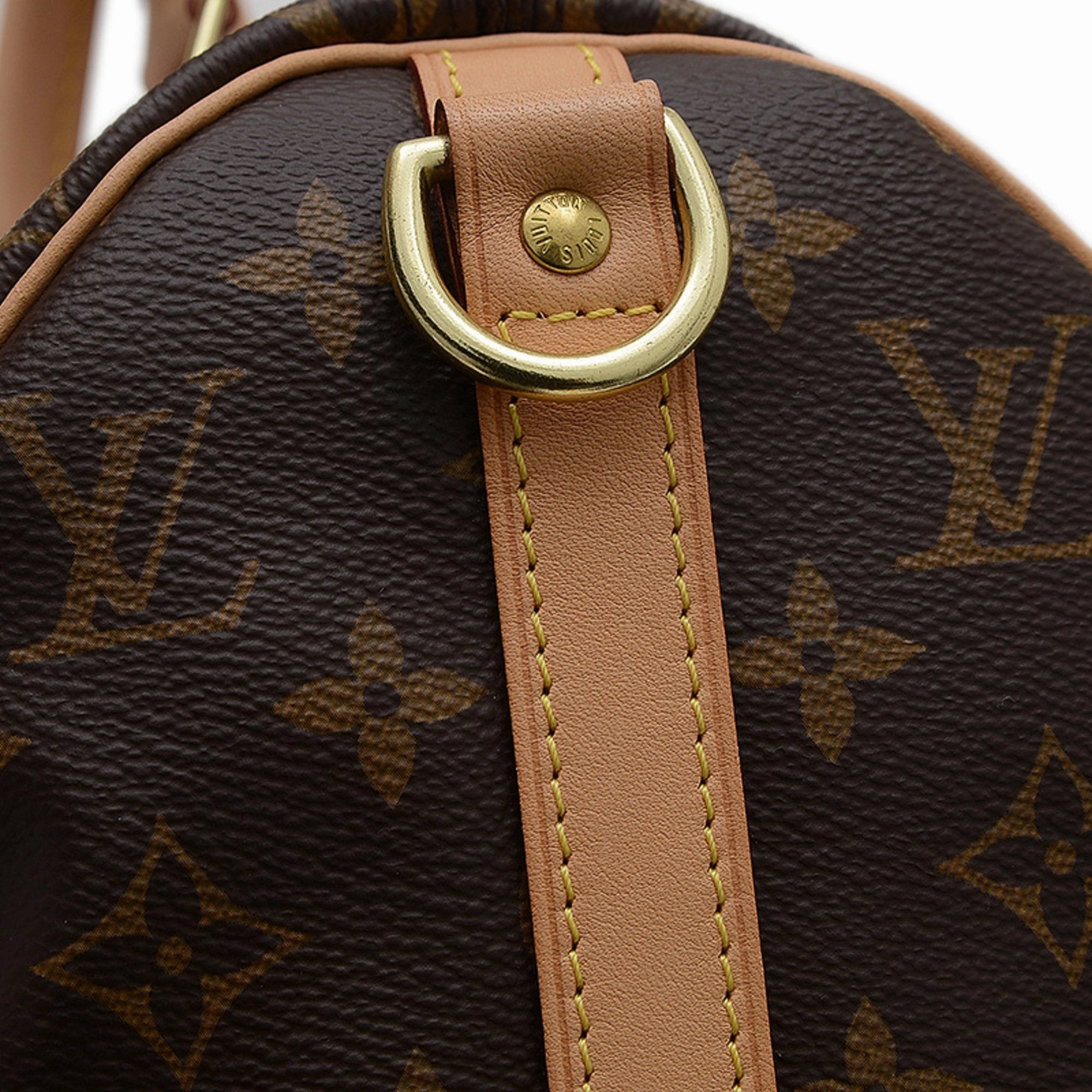 Louis Vuitton  Handbag (Pre-Owned)