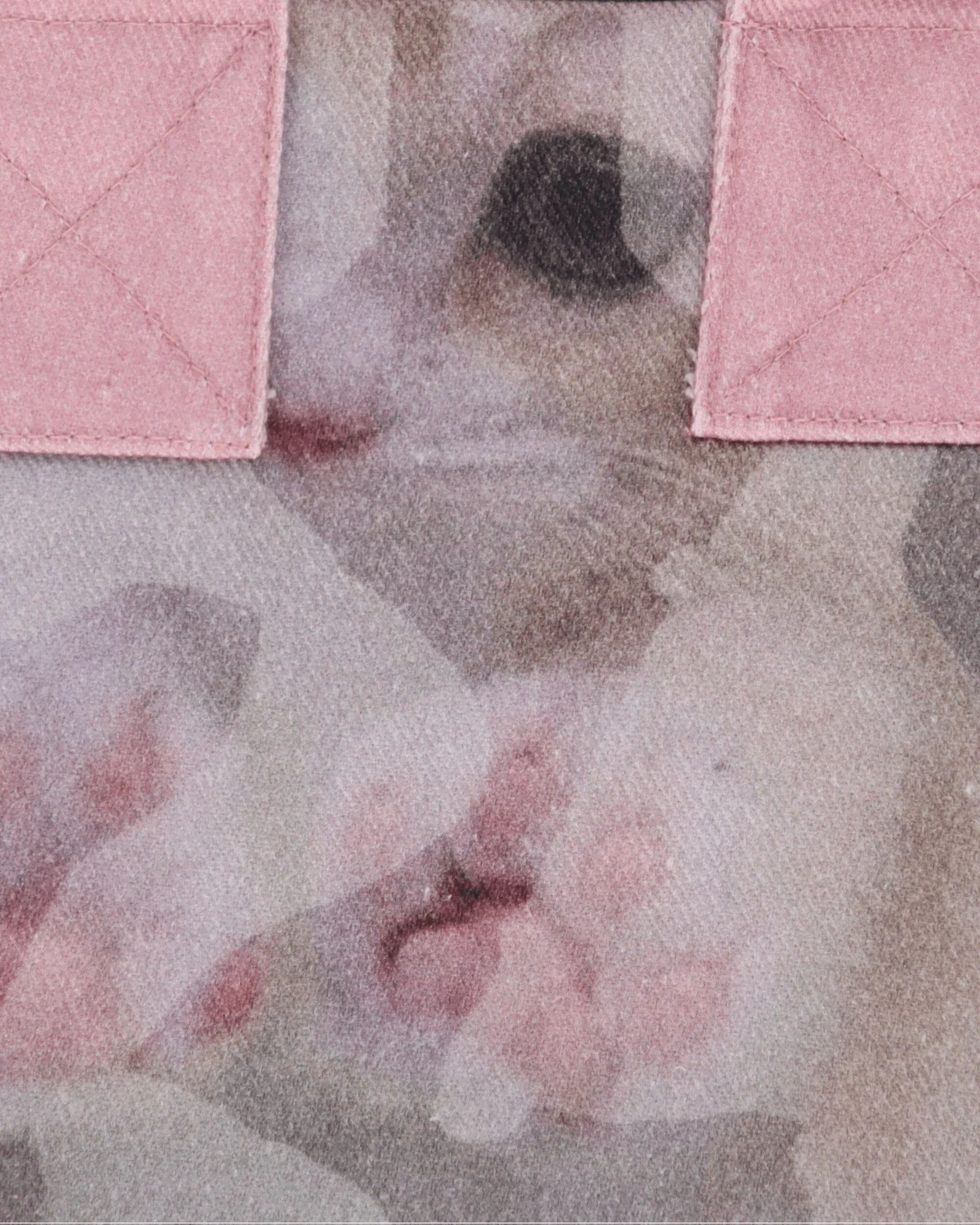 Mini Tote Bag Cat Print